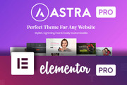 Astra Pro - с плагинами и обновлениями на русском 11 - kwork.ru