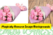 Magically Remove Image Backgrounds Photo background cropping 14 - kwork.com