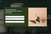 I will build Shopify website design, Shopify dropshipping store design 9 - kwork.com