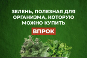 Посты Инстаграм. Оформление,анимированные элем-ты,контент-стратегия 4 - kwork.ru