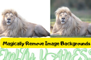 Magically Remove Image Backgrounds Photo background cropping 12 - kwork.com