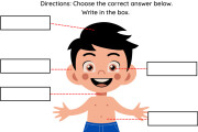 5 customised worksheets of any grade 6 - kwork.com