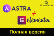 Astra Pro - с плагинами и обновлениями на русском 12 - kwork.ru