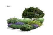 Проектирование сада, визуализация 8 - kwork.ru