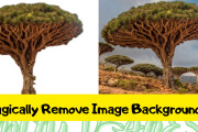 Magically Remove Image Backgrounds Photo background cropping 10 - kwork.com