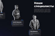 Дизайн разработка сайта лендинга. Figma + Seo аудит 15 - kwork.ru