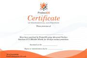Professional Certificate Design 13 - kwork.com