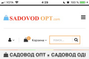 Напишу iOS приложение 14 - kwork.ru