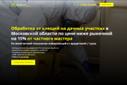Копия сайта, лендинга, интернет- магазина под ключ на ваш хостинг 13 - kwork.ru