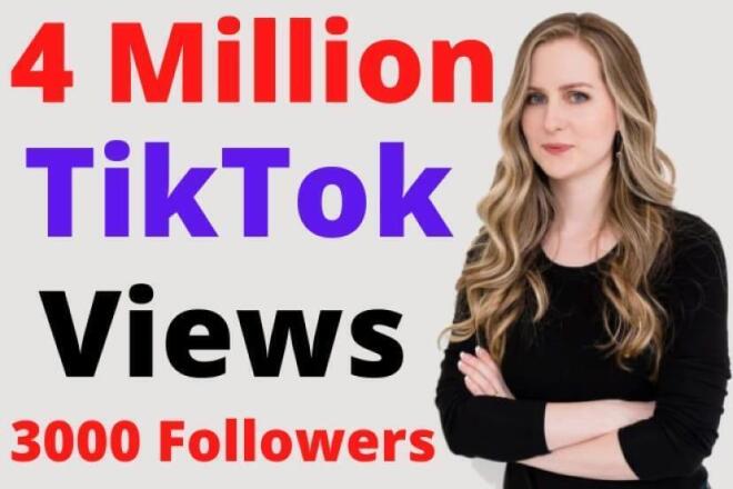 4 Million TikTok Views + 3000 TikTok Followers, Real Tik Tok Views for $20, freelancer Legit SMM (Legit_SMM) - Kwork
