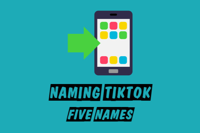 naming-tiktok-for-30-freelancer-stas-vividname-kwork